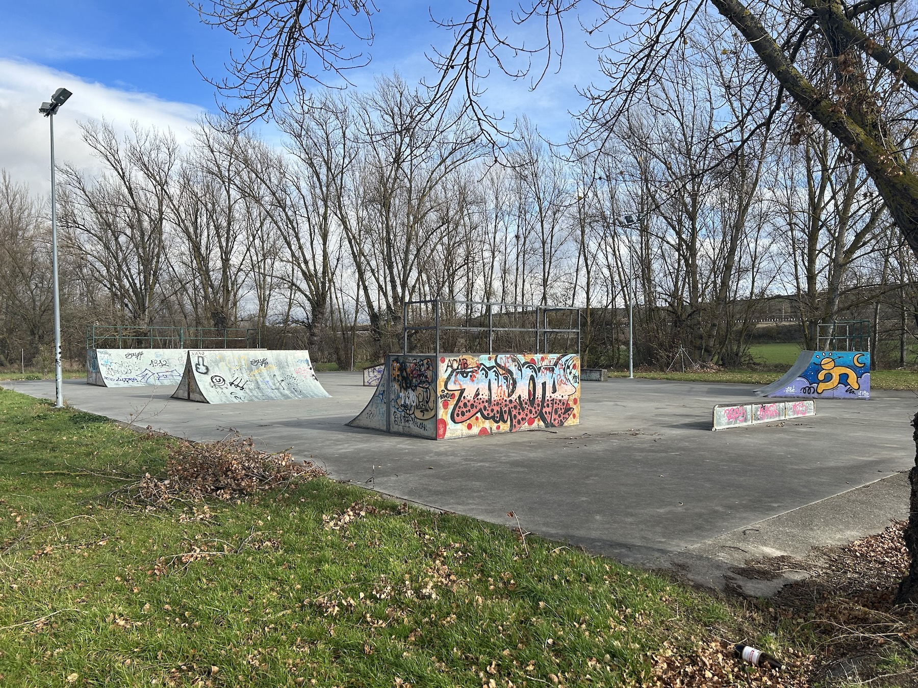 Briviesca Skatepark